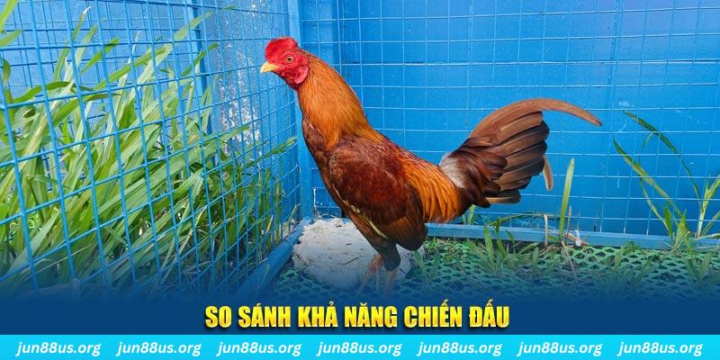 by88 club CQ9 Điện Tử