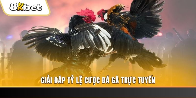 by88 club xổ số đài miền trung
