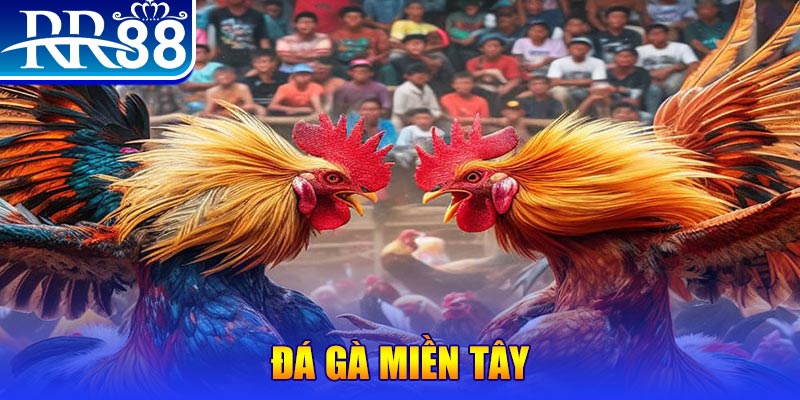 by88 club no hu doi thuong ai