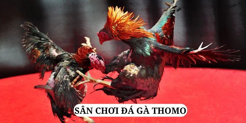 by88 club trực tiếp xổ số miền bắc